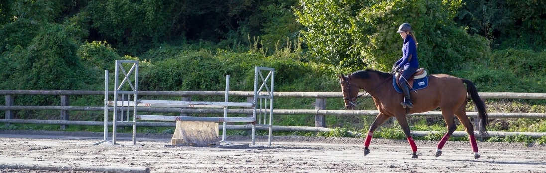Concours d'élevage et valorisation : présenter son cheval à l'obstacle